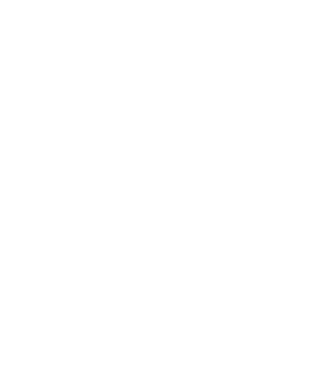 Winter Village